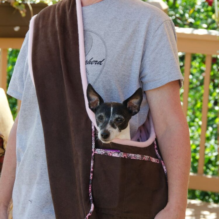 Free sewing pattern for small dog carrier new arrivals