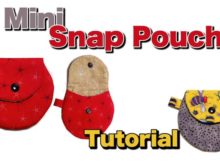 Mini Snap Pouch FREE with video