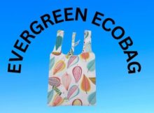 Evergreen Ecobag sewing pattern (3 sizes)